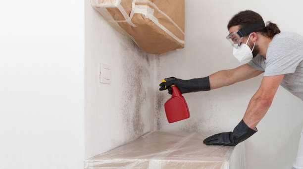 Professional Mold Testing technician working in Deer Park, NY
