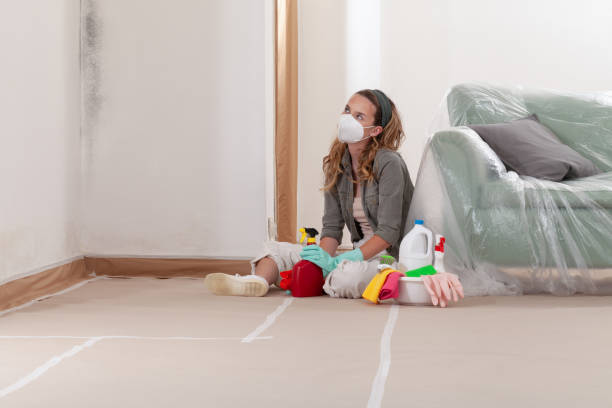 Reliable Mold Testing contractor in Deer Park, NY by WQB Mold Removal